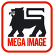 Mega-image